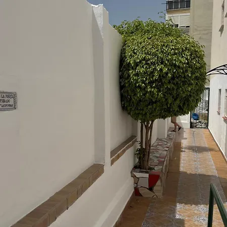 Cactus Torremolinos